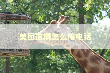美团逾期怎么接电话