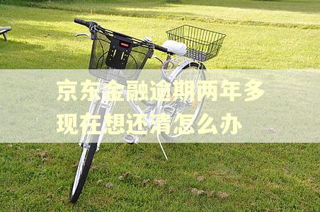 京东金融逾期两年多现在想还清怎么办 京东金融逾期两年多现在想还清怎么办
