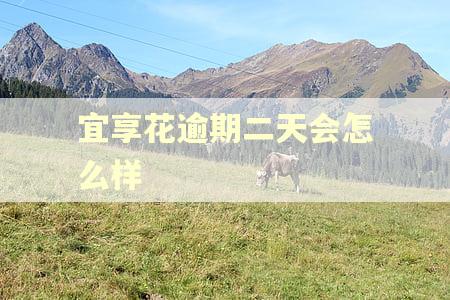 宜享花逾期二天会怎么样