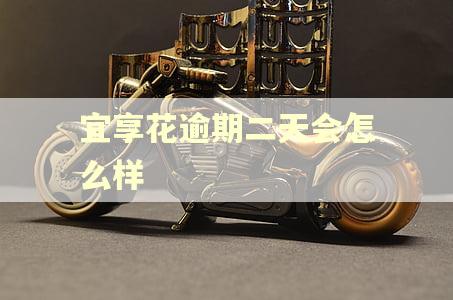 宜享花逾期二天会怎么样