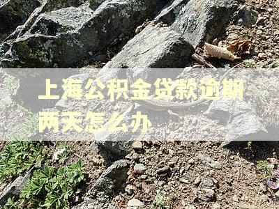 上海公积金贷款逾期两天怎么办 上海公积金贷款逾期两天怎么办