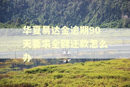 华夏易达金逾期90天要求全额还款怎么办
