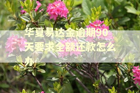 华夏易达金逾期90天要求全额还款怎么办 华夏易达金逾期90天要求全额还款怎么办