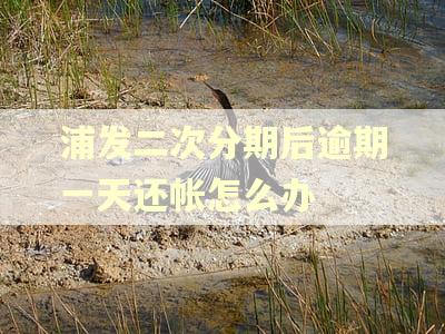 浦发二次分期后逾期一天还帐怎么办