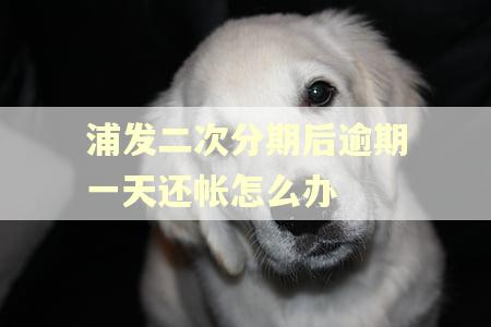 浦发二次分期后逾期一天还帐怎么办 浦发二次分期后逾期一天还帐怎么办