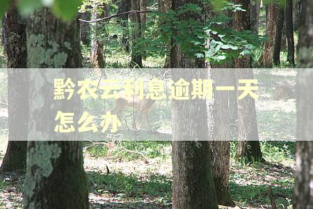 黔农云利息逾期一天怎么办
