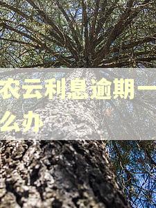 黔农云利息逾期一天怎么办