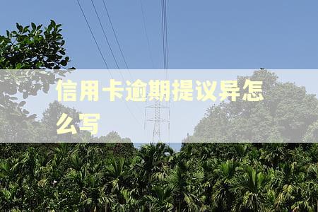 信用卡逾期提议异怎么写