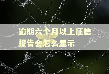 逾期六个月以上征信报告会怎么显示