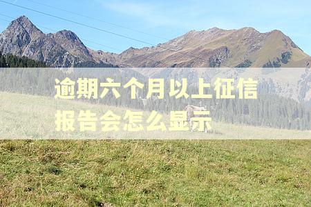 逾期六个月以上征信报告会怎么显示