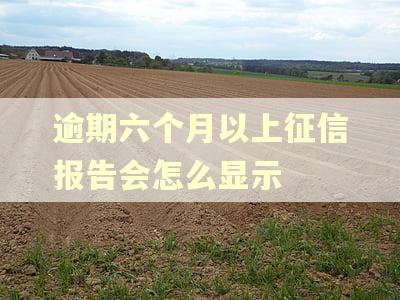 逾期六个月以上征信报告会怎么显示