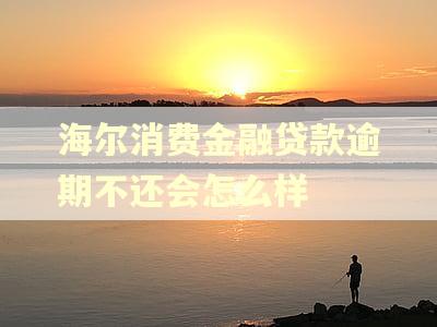 海尔消费金融贷款逾期不还会怎么样