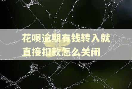 花呗逾期有钱转入就直接扣款怎么关闭