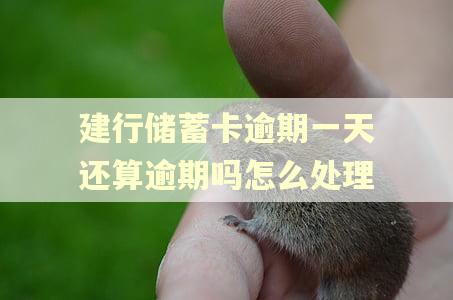 建行储蓄卡逾期一天还算逾期吗怎么处理