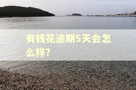 有钱花逾期5天会怎么样?