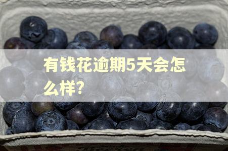 有钱花逾期5天会怎么样?