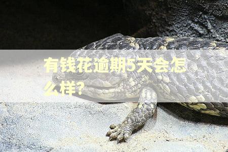 有钱花逾期5天会怎么样? 有钱花逾期5天会怎么样?