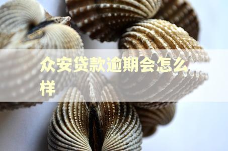 众安贷款逾期会怎么样
