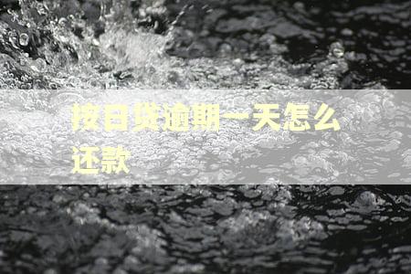 按日贷逾期一天怎么还款