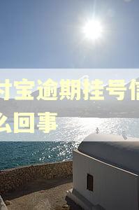 支付宝逾期挂号信是怎么回事