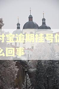 支付宝逾期挂号信是怎么回事
