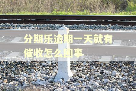 分期乐逾期一天就有催收怎么回事