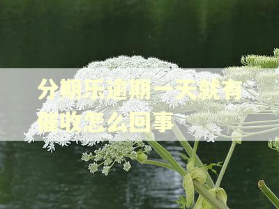 分期乐逾期一天就有催收怎么回事