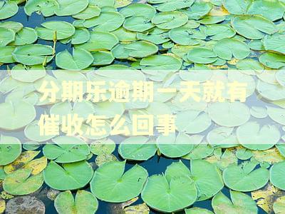 分期乐逾期一天就有催收怎么回事 分期乐逾期一天就有催收怎么回事