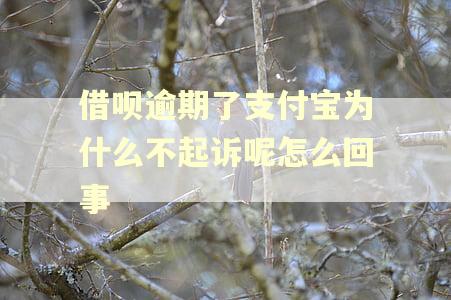 借呗逾期了支付宝为什么不起诉呢怎么回事 借呗逾期了支付宝为什么不起诉呢怎么回事