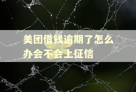美团借钱逾期了怎么办会不会上征信