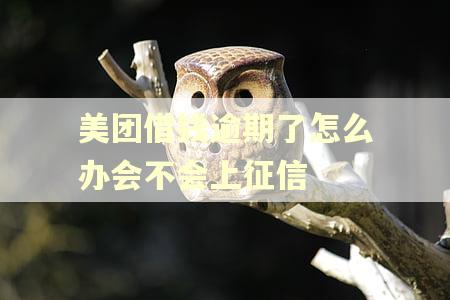 美团借钱逾期了怎么办会不会上征信