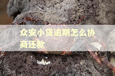 众安小贷逾期怎么协商还款 众安小贷逾期怎么协商还款