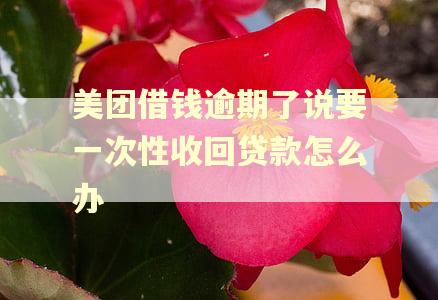 美团借钱逾期了说要一次性收回贷款怎么办 美团借钱逾期了说要一次性收回贷款怎么办