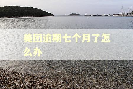 美团逾期七个月了怎么办