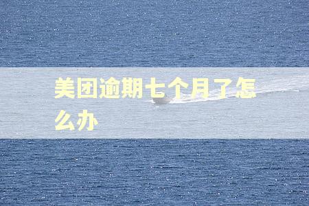 美团逾期七个月了怎么办