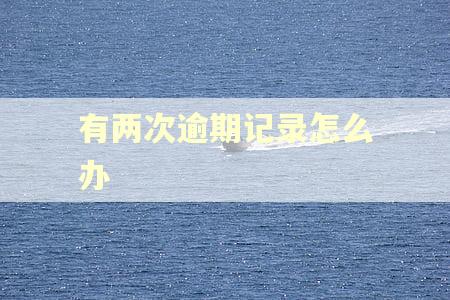 有两次逾期记录怎么办 有两次逾期记录怎么办