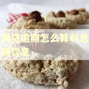 网贷逾期怎么算利息和罚息