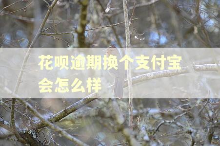 花呗逾期换个支付宝会怎么样