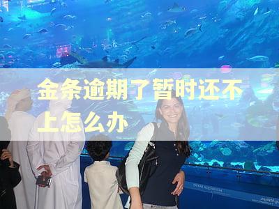金条逾期了暂时还不上怎么办