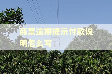 商票逾期提示付款说明怎么写