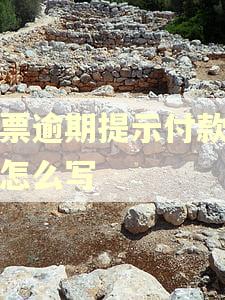 商票逾期提示付款说明怎么写 商票逾期提示付款说明怎么写