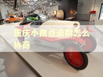 重庆小雨点逾期怎么协商