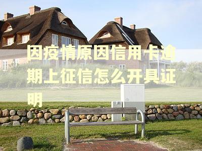 因疫情原因信用卡逾期上征信怎么开具证明