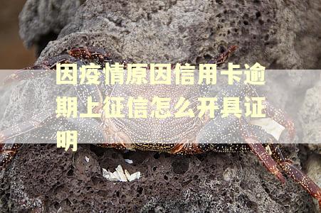 因疫情原因信用卡逾期上征信怎么开具证明 因疫情原因信用卡逾期上征信怎么开具证明