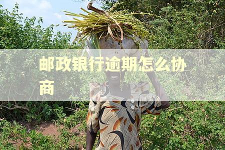 邮政银行逾期怎么协商