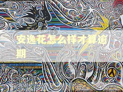 安逸花怎么样才算逾期