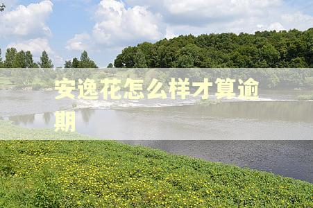 安逸花怎么样才算逾期