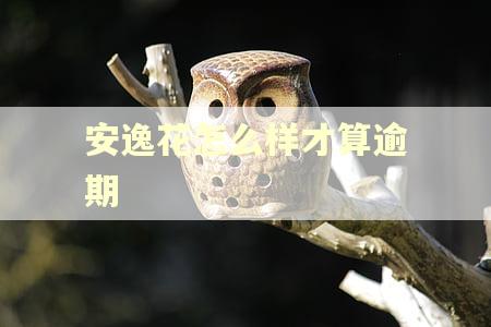 安逸花怎么样才算逾期
