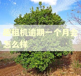 趣租机逾期一个月会怎么样