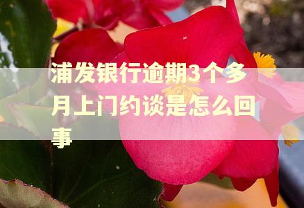 浦发银行逾期3个多月上门约谈是怎么回事